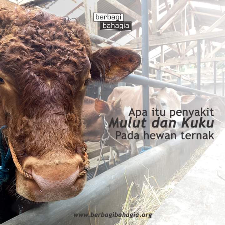 Foto Berita